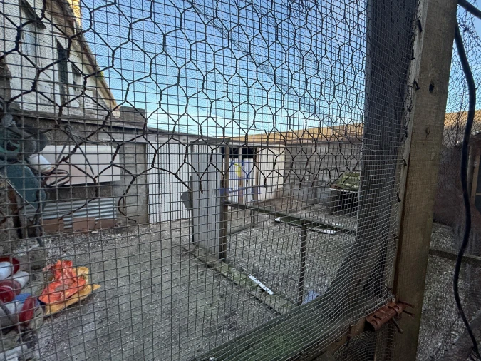 Moradia T1 para Venda em Santa Maria, São Pedro e Sobral da Lagoa Foto 7