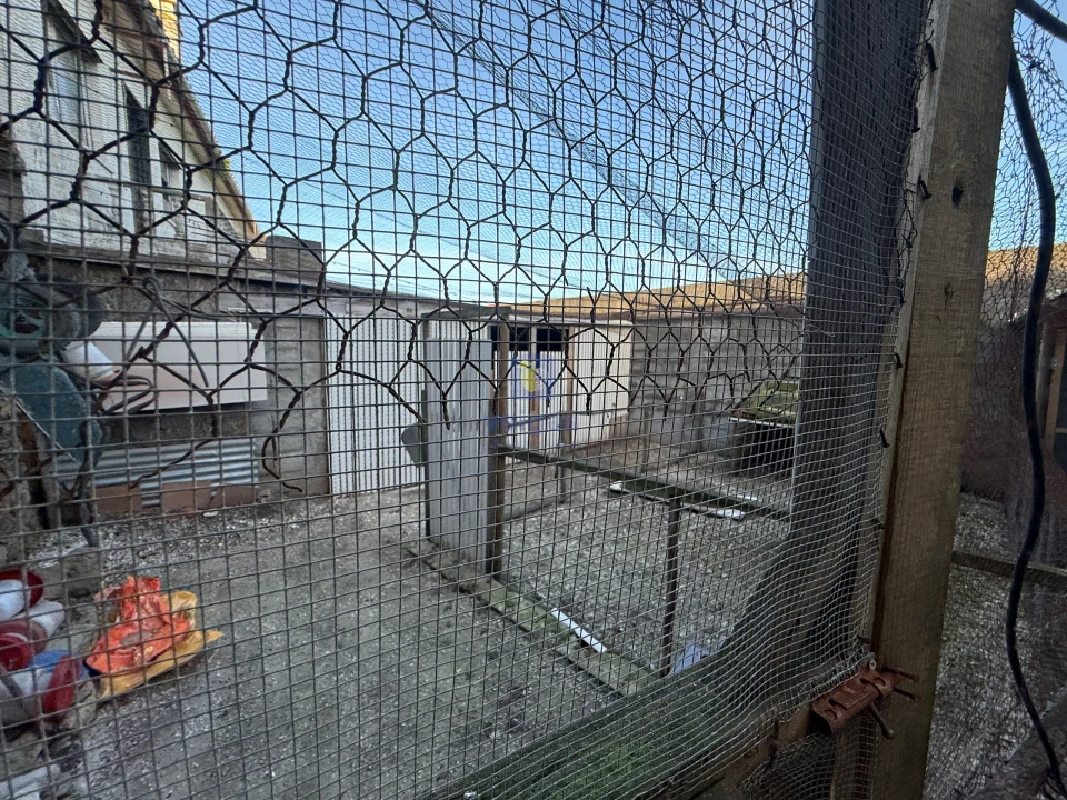 Moradia T1 para Venda em Santa Maria, São Pedro e Sobral da Lagoa Foto 7