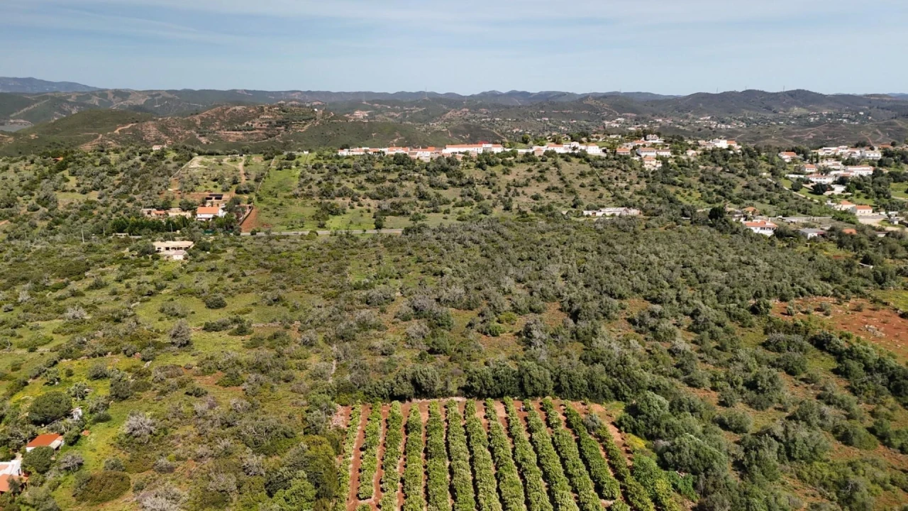 Terreno para Venda em São Bartolomeu de Messines Foto 8