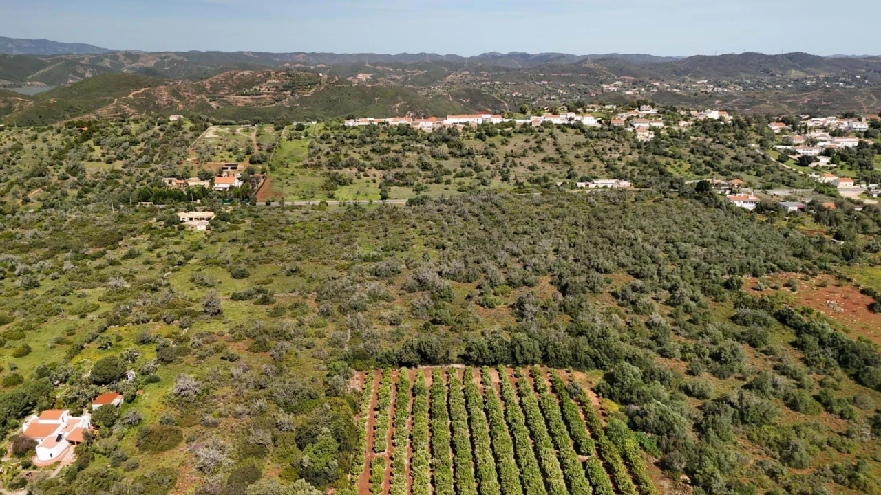 Terreno para Venda em São Bartolomeu de Messines Foto 7