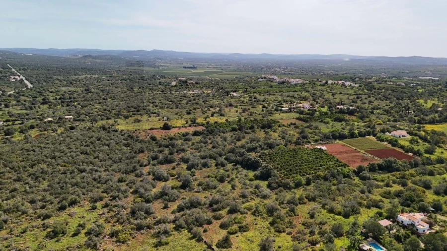 Terreno para Venda em São Bartolomeu de Messines Foto 3