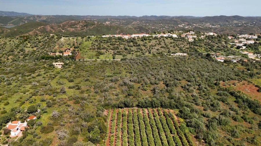 Terreno para Venda em São Bartolomeu de Messines Foto 7