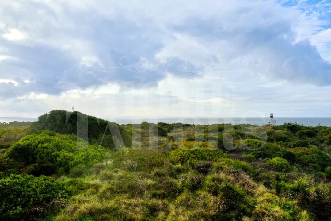 Terreno para Venda em Carvoeira Foto 14
