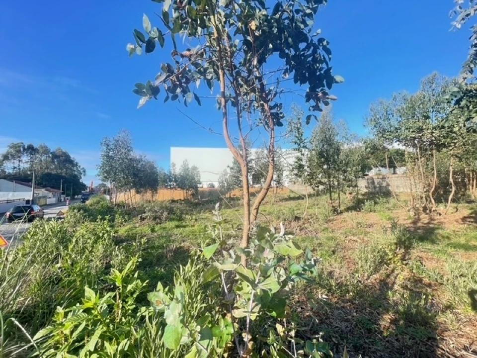 Terreno para Venda em Canelas Foto 9