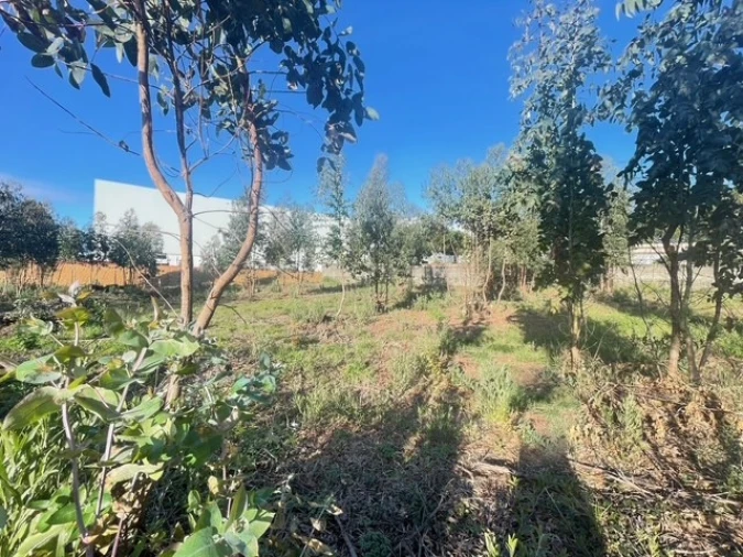 Terreno para Venda em Canelas Foto 10