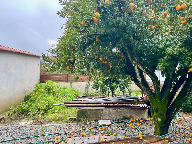 Moradia T4 para Venda em Campo de Besteiros Foto 17