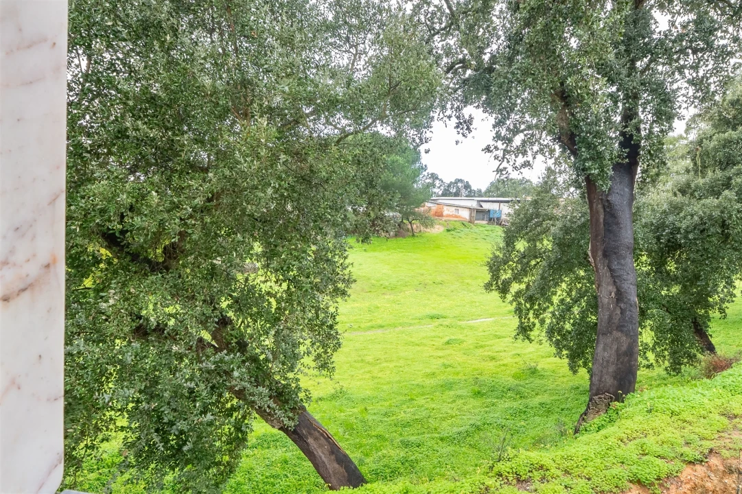 Moradia T3 para Venda em Amora Foto 31