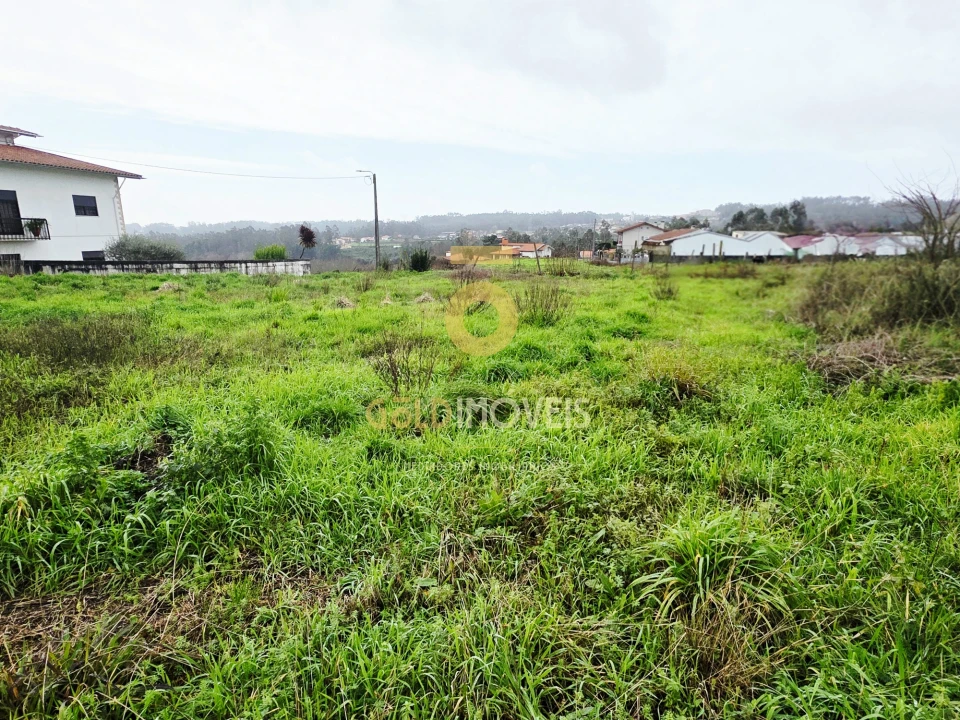 Terreno Agricola ou Rústico para Venda em O. Azeméis, Riba-Ul, Ul, Macinhata Seixa, Madail Foto 2