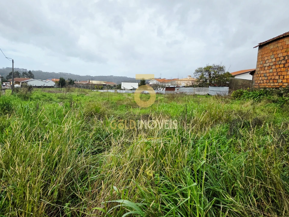 Terreno Agricola ou Rústico para Venda em O. Azeméis, Riba-Ul, Ul, Macinhata Seixa, Madail Foto 4