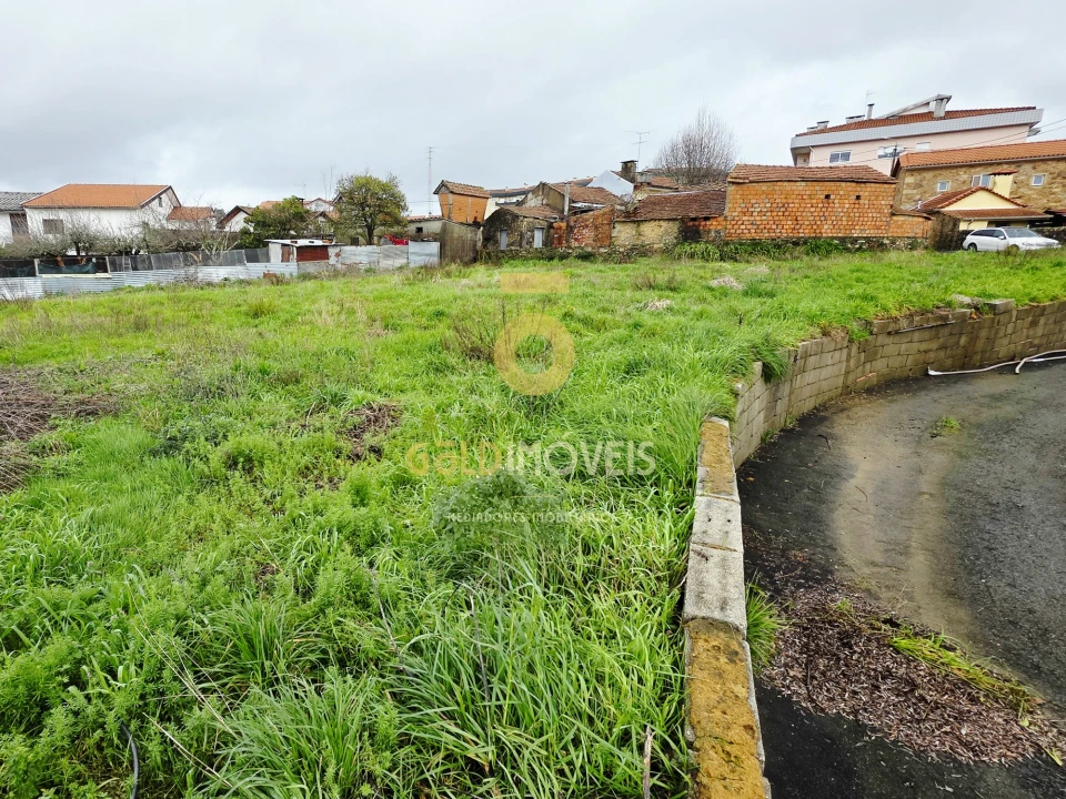 Terreno Agricola ou Rústico para Venda em O. Azeméis, Riba-Ul, Ul, Macinhata Seixa, Madail Foto 1