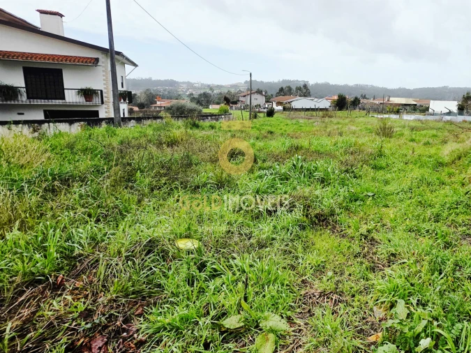 Terreno Agricola ou Rústico para Venda em O. Azeméis, Riba-Ul, Ul, Macinhata Seixa, Madail Foto 3