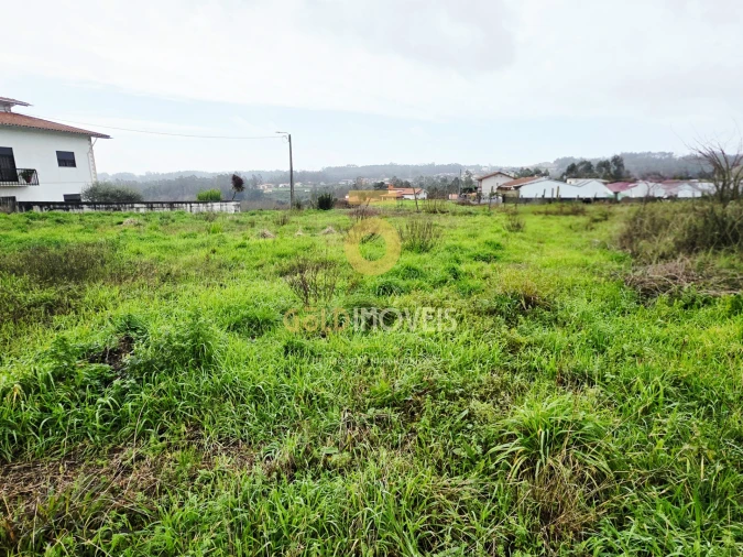 Terreno Agricola ou Rústico para Venda em O. Azeméis, Riba-Ul, Ul, Macinhata Seixa, Madail Foto 2