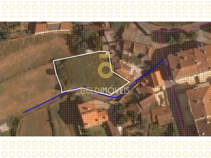 Terreno Agricola ou Rústico para Venda em O. Azeméis, Riba-Ul, Ul, Macinhata Seixa, Madail Foto 6