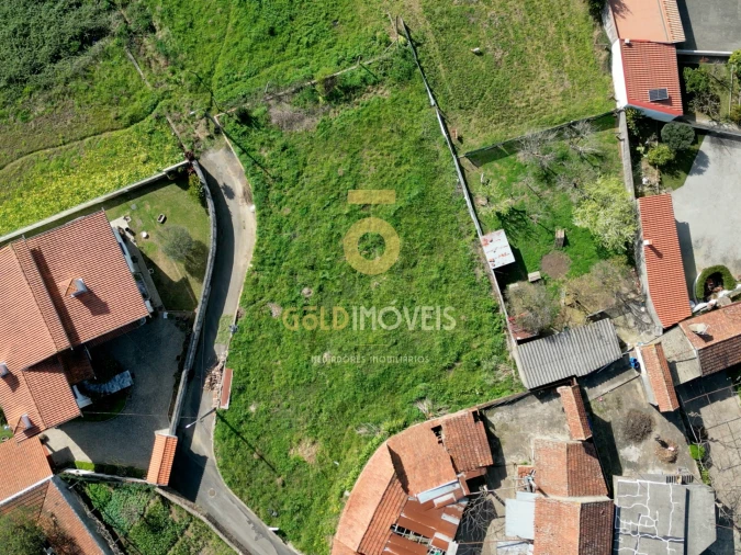 Terreno Agricola ou Rústico para Venda em O. Azeméis, Riba-Ul, Ul, Macinhata Seixa, Madail Foto 3