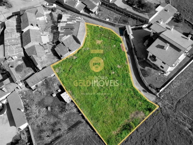 Terreno Agricola ou Rústico para Venda em O. Azeméis, Riba-Ul, Ul, Macinhata Seixa, Madail Foto 1