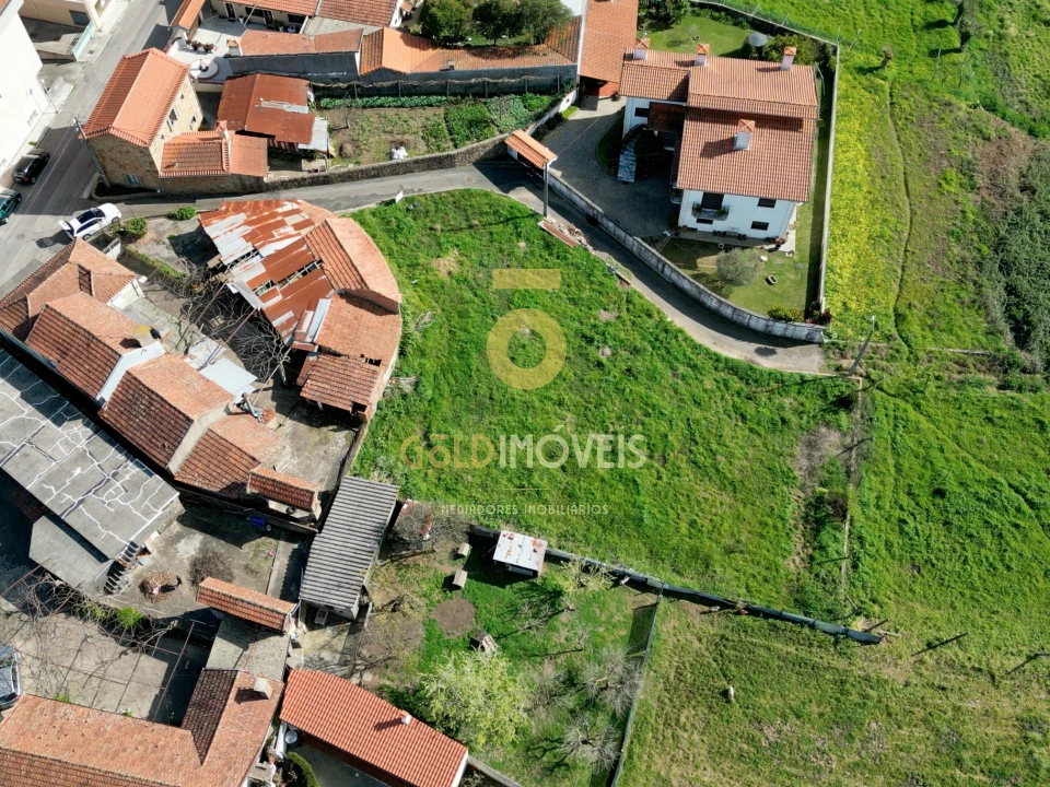 Terreno Agricola ou Rústico para Venda em O. Azeméis, Riba-Ul, Ul, Macinhata Seixa, Madail Foto 5