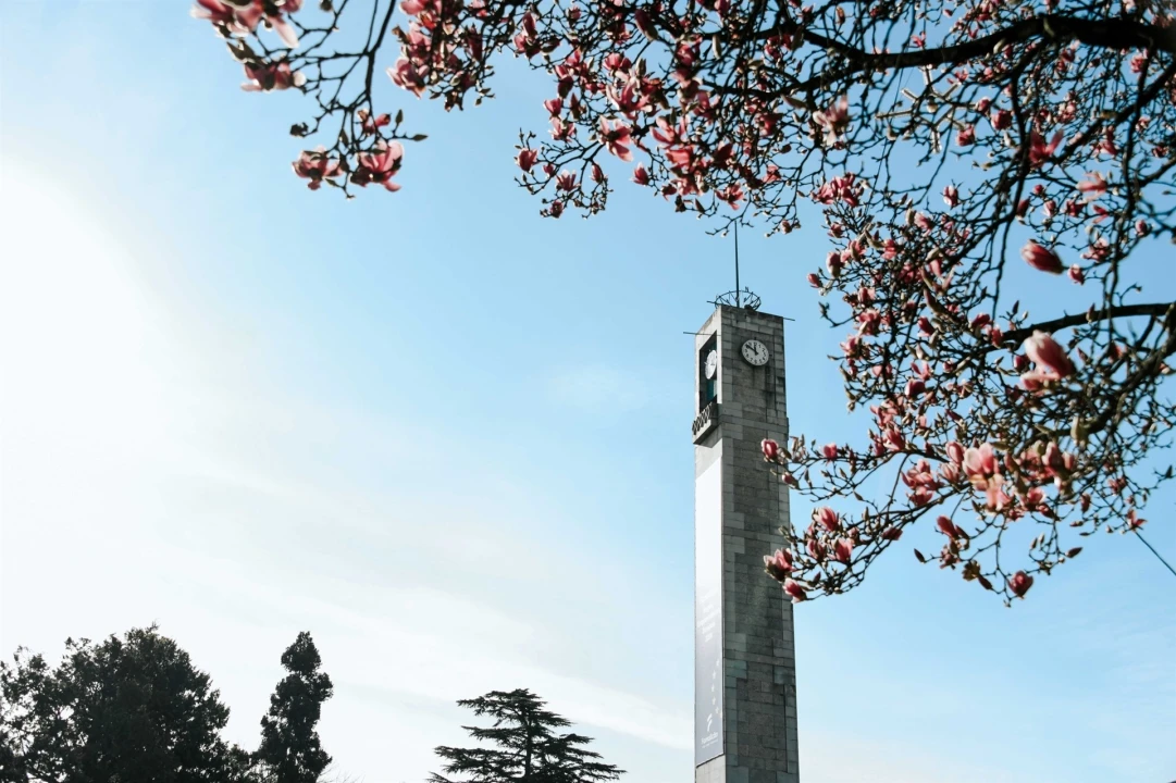 Negócio para Trespasse em Antas e Abade de Vermoim Foto 2