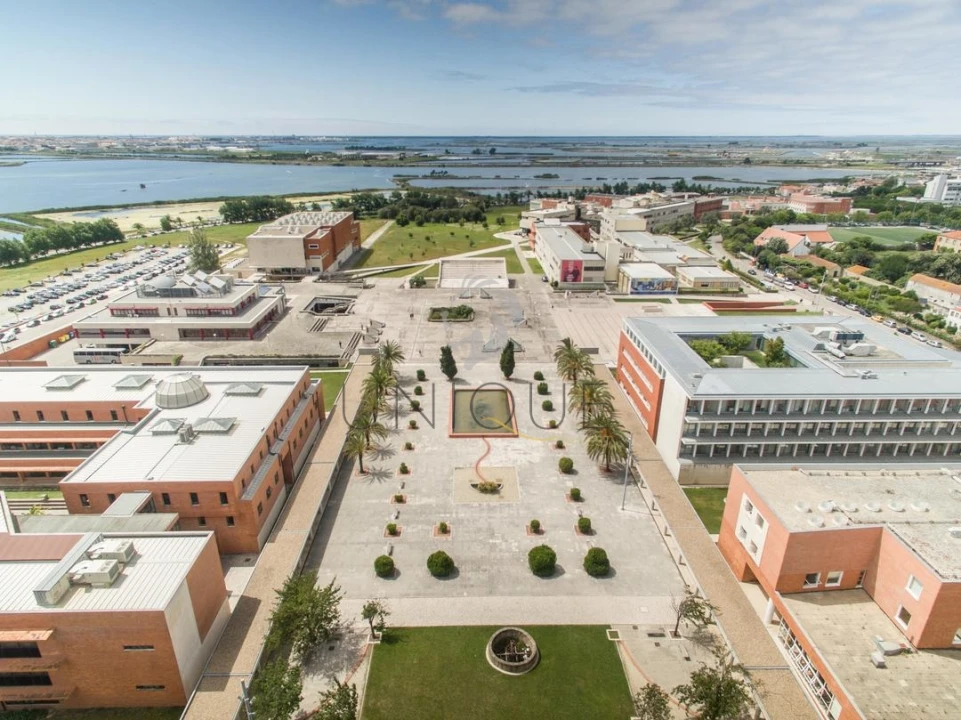 Moradia T4 para Venda em Glória e Vera Cruz Foto 17