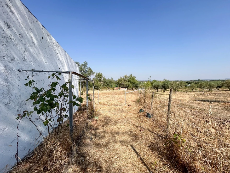 Terreno Agricola ou Rústico para Venda em Ladoeiro Foto 4