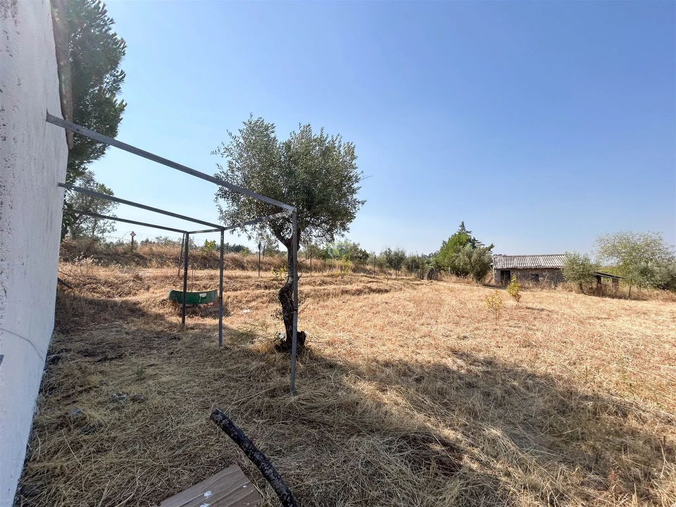 Terreno Agricola ou Rústico para Venda em Ladoeiro Foto 9