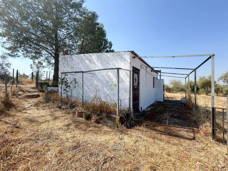 Terreno Agricola ou Rústico para Venda em Ladoeiro Foto 5
