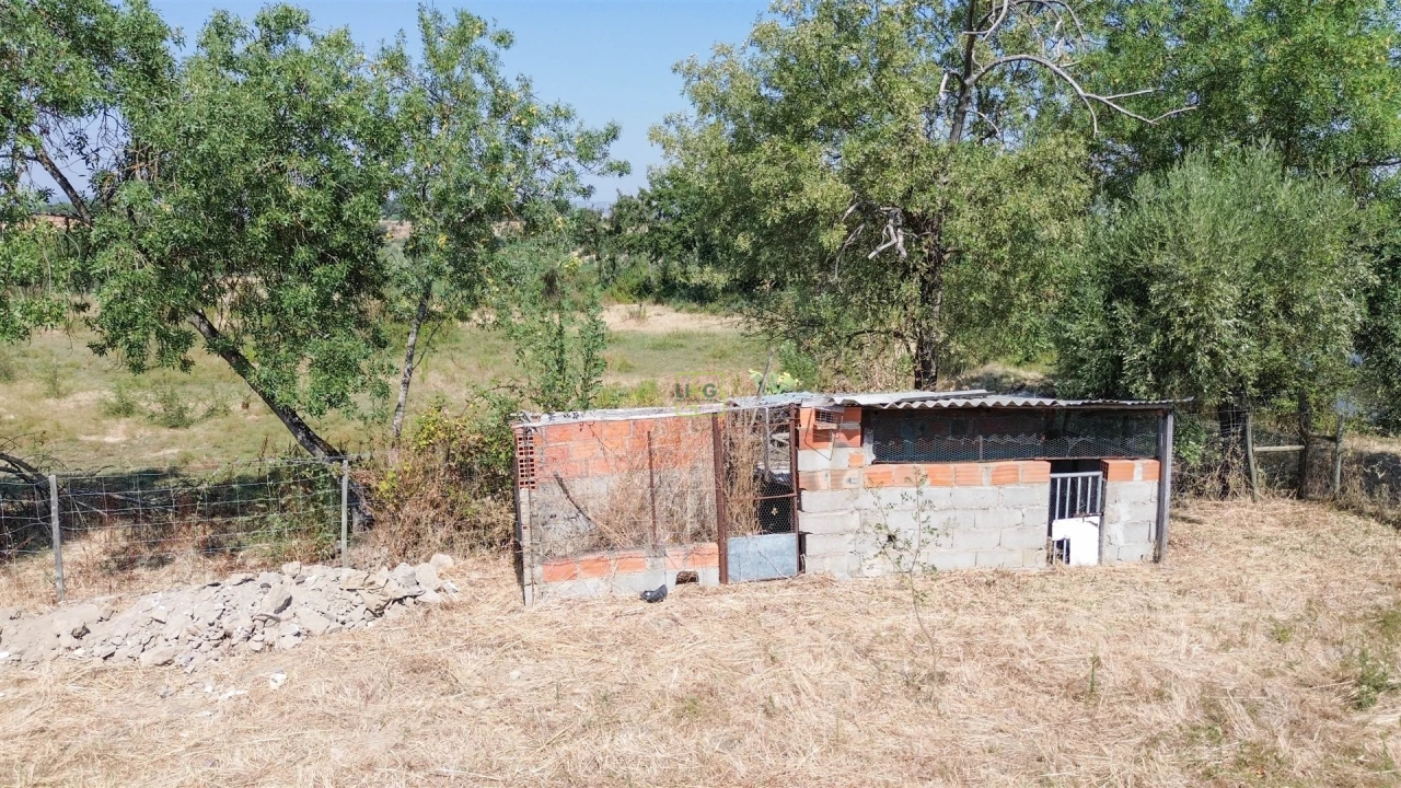 Terreno Agricola ou Rústico para Venda em Ladoeiro Foto 27
