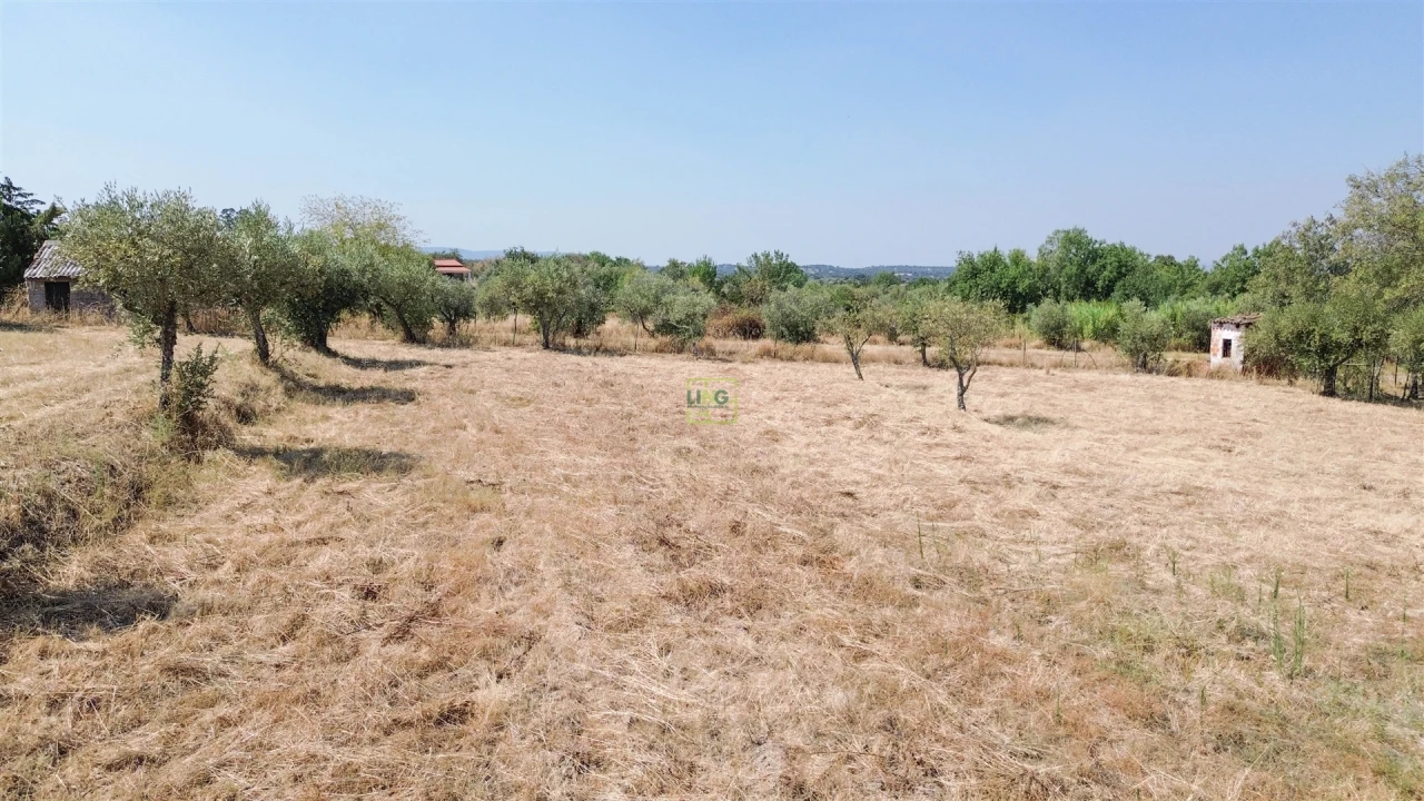 Terreno Agricola ou Rústico para Venda em Ladoeiro Foto 33