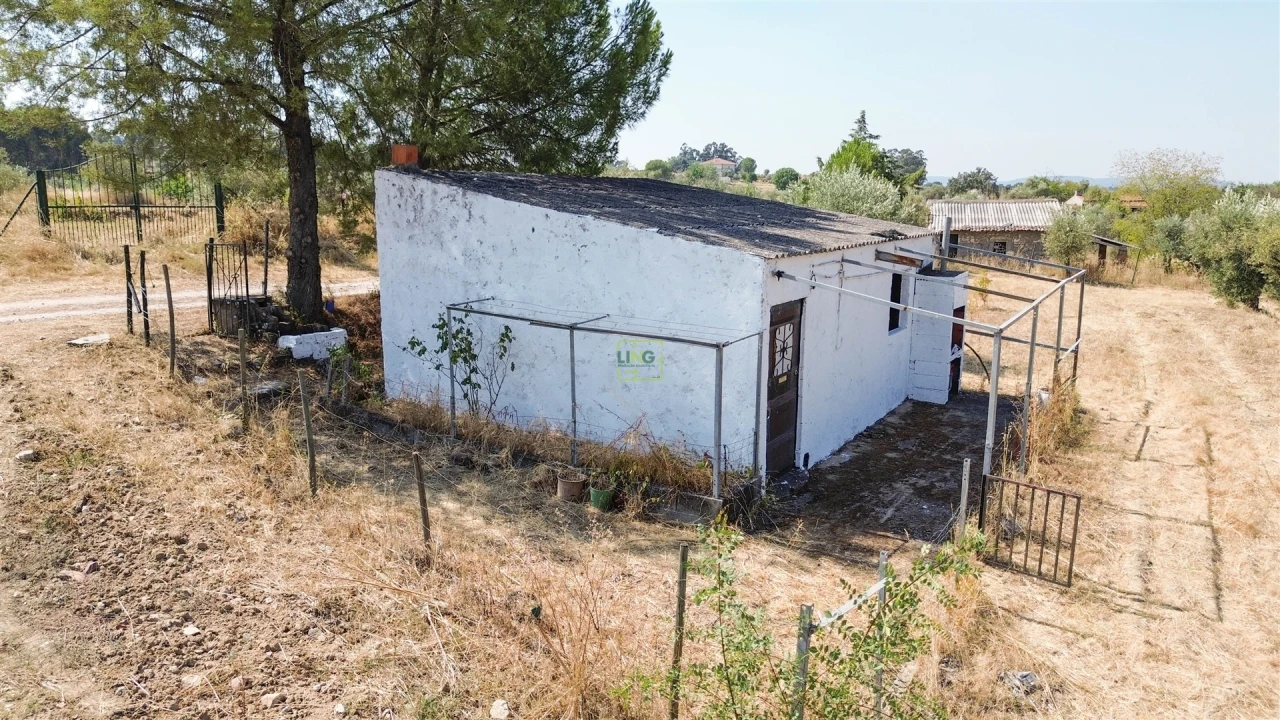 Terreno Agricola ou Rústico para Venda em Ladoeiro Foto 19