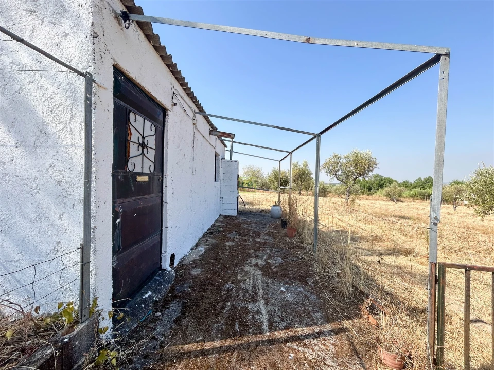 Terreno Agricola ou Rústico para Venda em Ladoeiro Foto 6