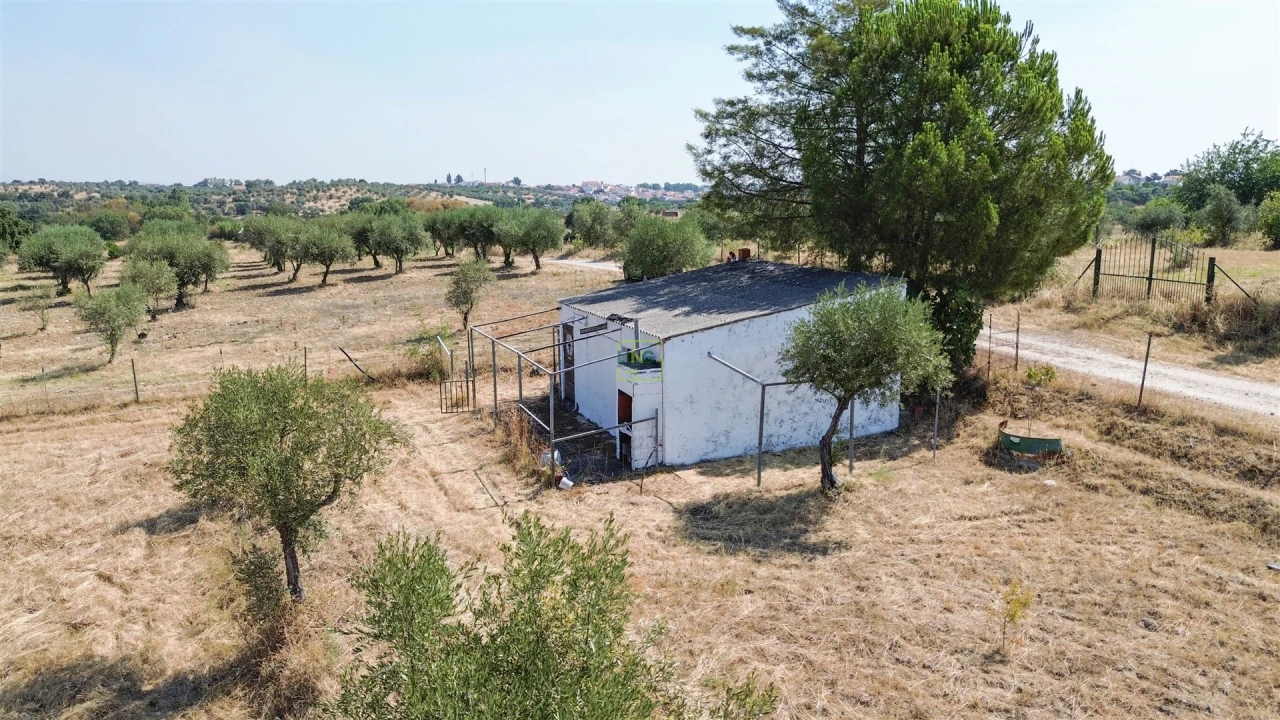 Terreno Agricola ou Rústico para Venda em Ladoeiro Foto 25