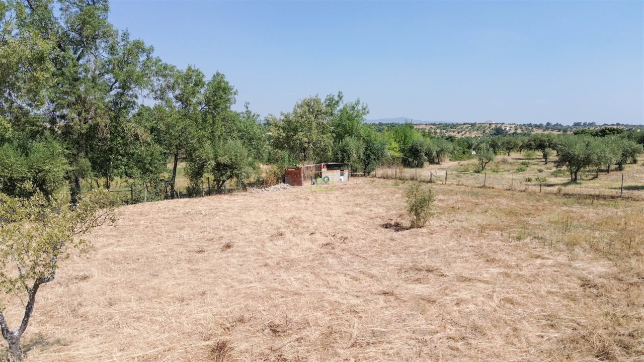 Terreno Agricola ou Rústico para Venda em Ladoeiro Foto 37