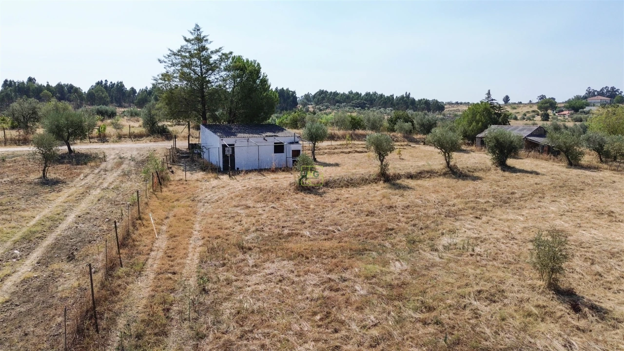 Terreno Agricola ou Rústico para Venda em Ladoeiro Foto 29