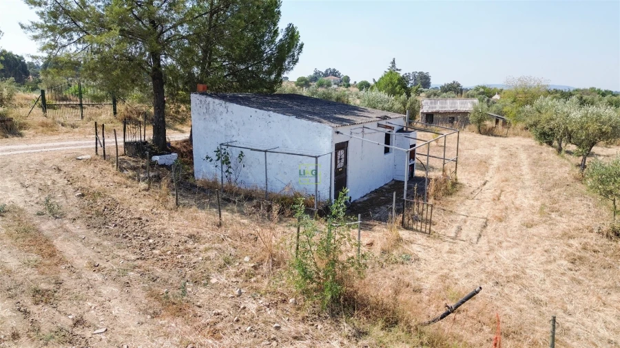 Terreno Agricola ou Rústico para Venda em Ladoeiro Foto 20