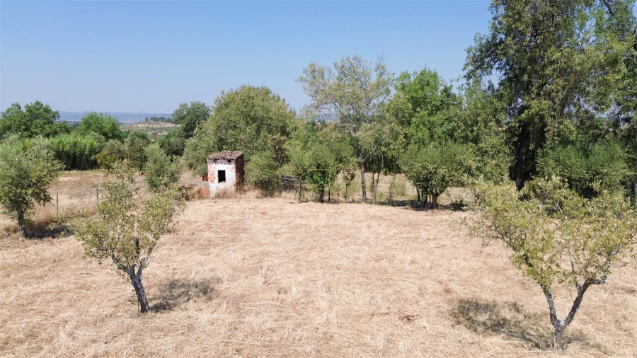 Terreno Agricola ou Rústico para Venda em Ladoeiro Foto 36