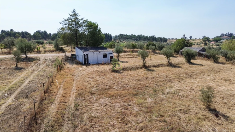 Terreno Agricola ou Rústico para Venda em Ladoeiro Foto 29