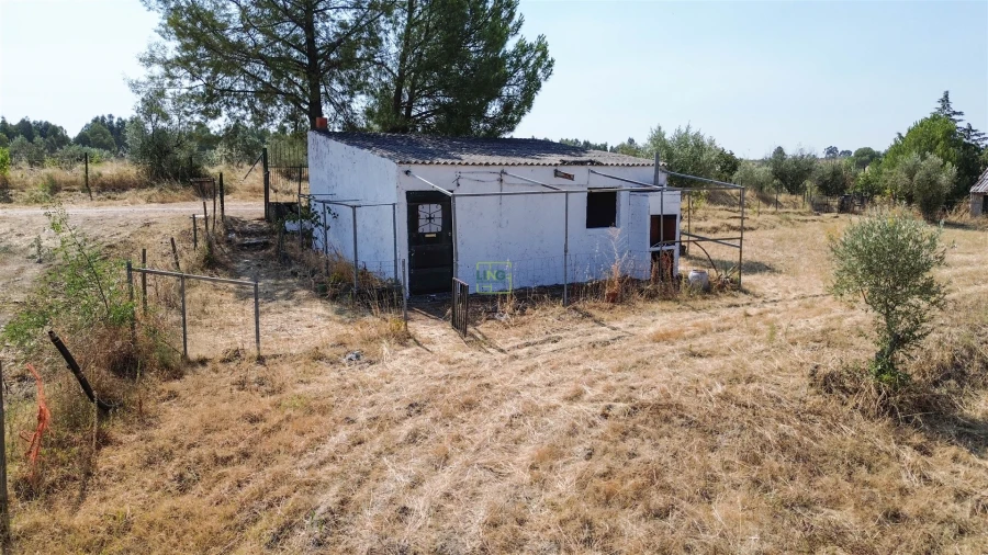 Terreno Agricola ou Rústico para Venda em Ladoeiro Foto 34