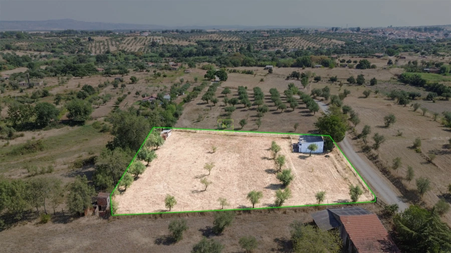 Terreno Agricola ou Rústico para Venda em Ladoeiro Foto 51