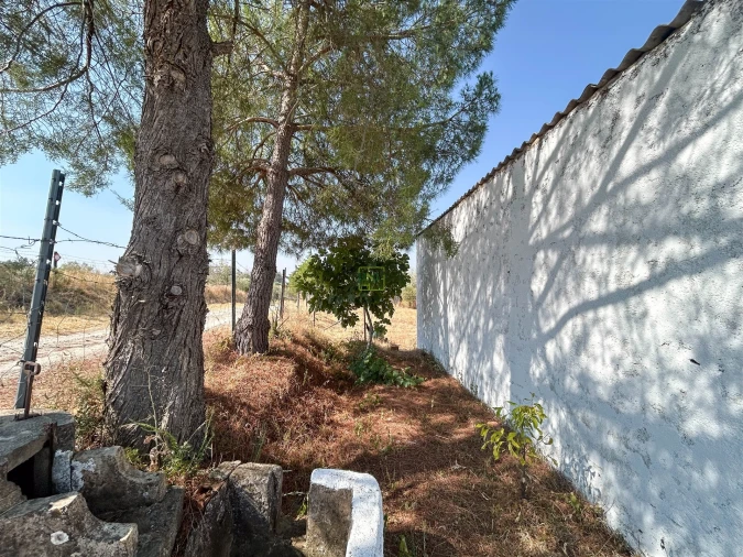 Terreno Agricola ou Rústico para Venda em Ladoeiro Foto 3