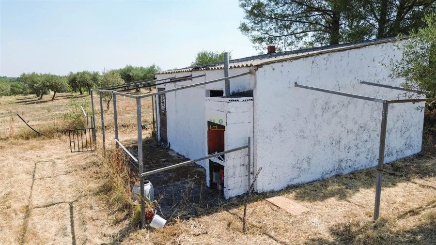 Terreno Agricola ou Rústico para Venda em Ladoeiro Foto 31