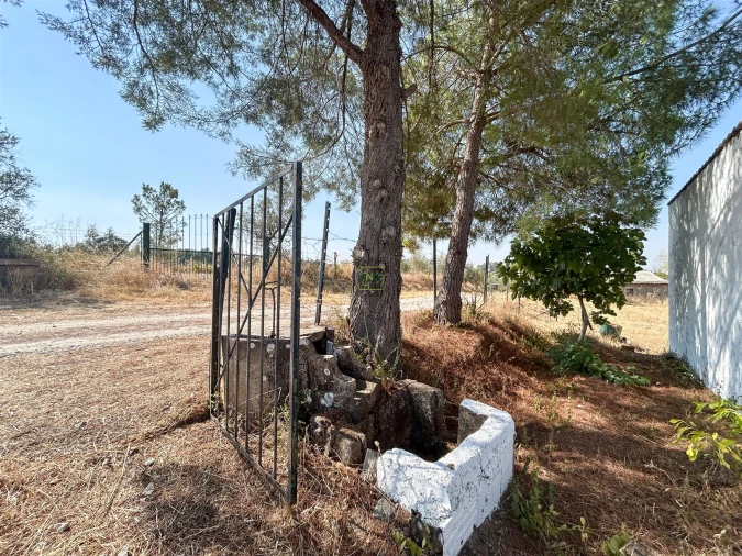 Terreno Agricola ou Rústico para Venda em Ladoeiro Foto 15
