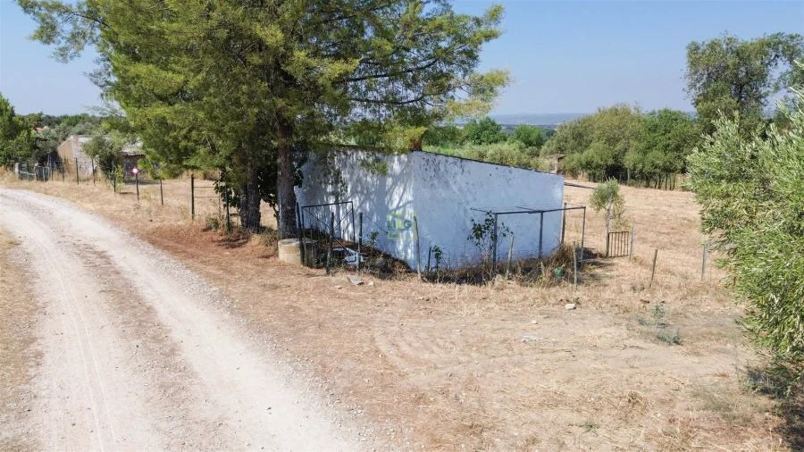 Terreno Agricola ou Rústico para Venda em Ladoeiro Foto 16