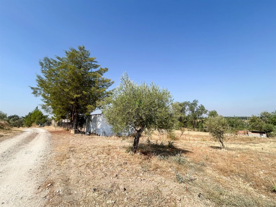 Terreno Agricola ou Rústico para Venda em Ladoeiro Foto 43