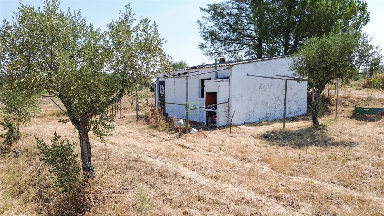 Terreno Agricola ou Rústico para Venda em Ladoeiro Foto 39