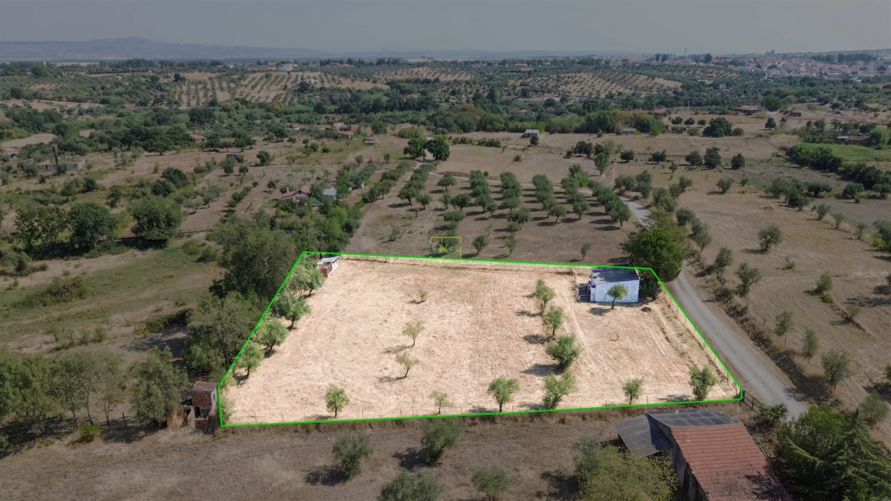 Terreno Agricola ou Rústico para Venda em Ladoeiro Foto 51