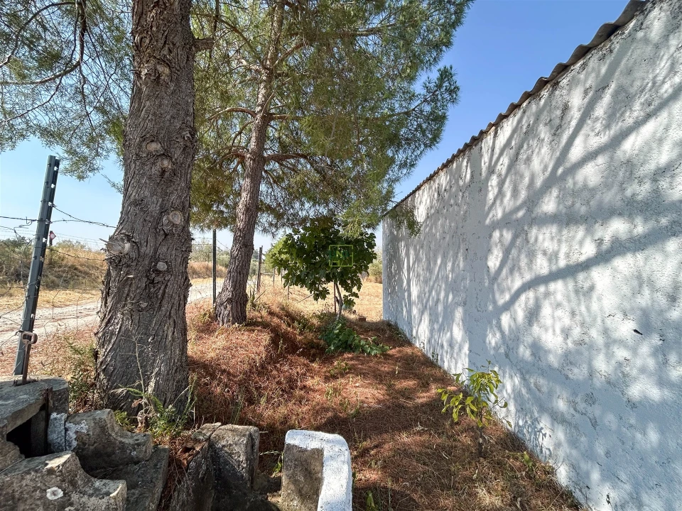 Terreno Agricola ou Rústico para Venda em Ladoeiro Foto 3