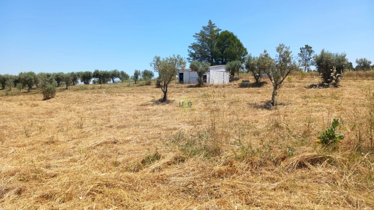 Terreno Agricola ou Rústico para Venda em Ladoeiro Foto 1