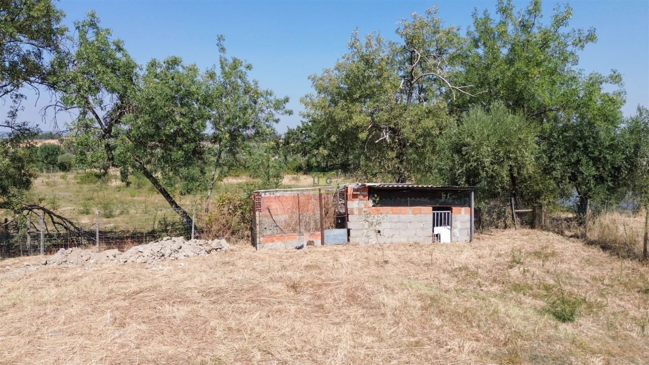 Terreno Agricola ou Rústico para Venda em Ladoeiro Foto 26