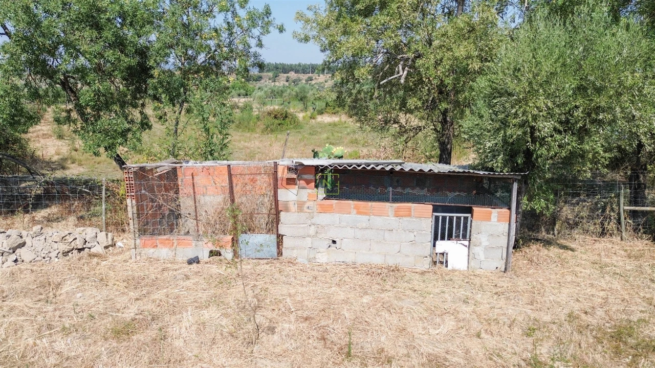 Terreno Agricola ou Rústico para Venda em Ladoeiro Foto 28