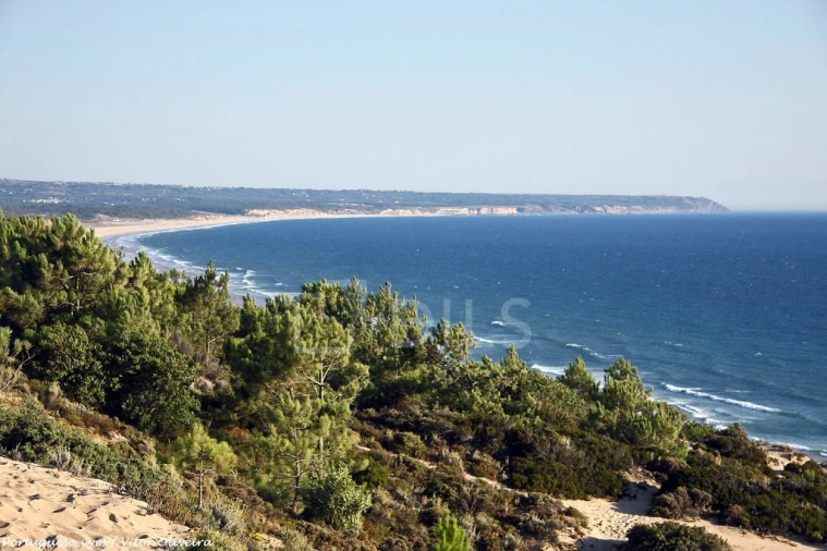 Moradia T3 para Venda em Charneca de Caparica e Sobreda Foto 12