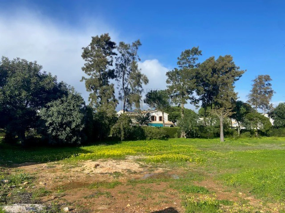 Terreno para Venda em Barão de São Miguel Foto 1